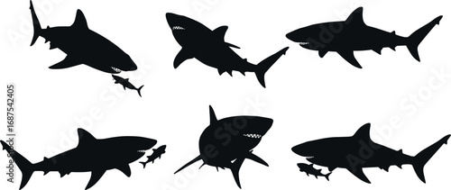 Silhouette sharks hunting fish, predator marine life illustration, ocean wildlife scene, dangerous sea animals, underwater hunting concept, aquatic predator behavior art