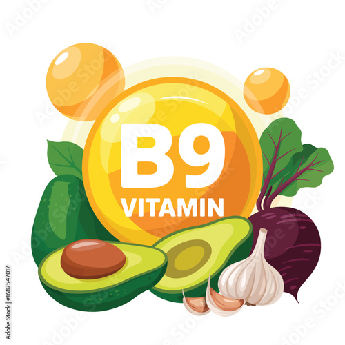 Vitamin b9 folic acid sources avocado beetroot garlic and eggs illustration