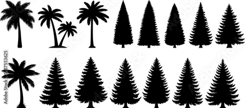 Diverse tree silhouettes including palms and conifers