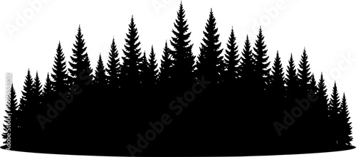 Black evergreen forest silhouette trees nature