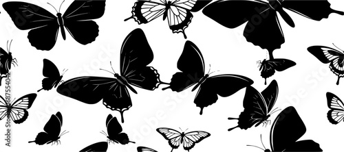 Black butterflies pattern butterfly insect