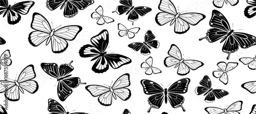 Black butterflies pattern butterfly insect