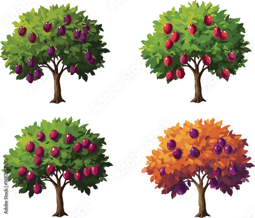 Plum tree seasonal stages, green foliage and autumn leaves, ripe purple fruit harvest, botanical orchard illustration, agricultural growth cycle, nature farming concept, vector art