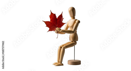 Wooden artist's mannequin holding a vibrant red maple leaf, perfect for autumn promotions, Canadian heritage themes, seasonal greetings, or creative art concepts isolated on white & transparent...