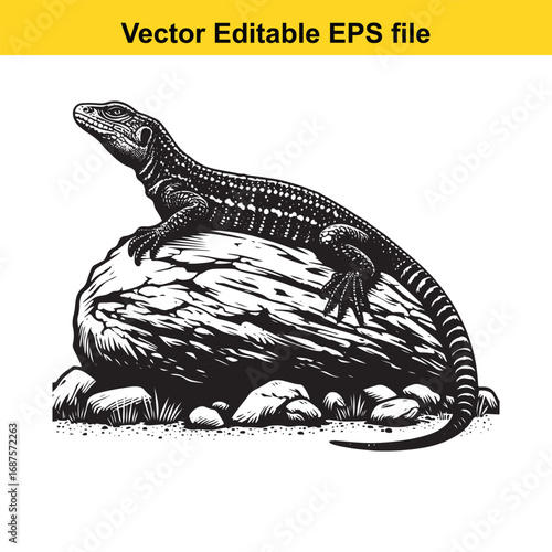  detailed illustration of a lizard perched on a rock, isolated on white background