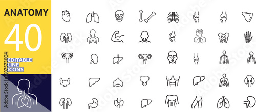 Human Anatomy Editable Line Icons for Medical and Educational Purposes