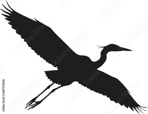 a graceful bird silhouette soaring freely on transparent background
