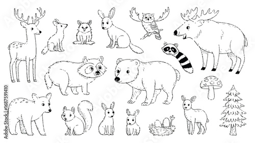 Forest Animals Illustration Featuring Moose Deer Bear Owl Rabbit Squirrel Raccoon Fox Nature Drawing