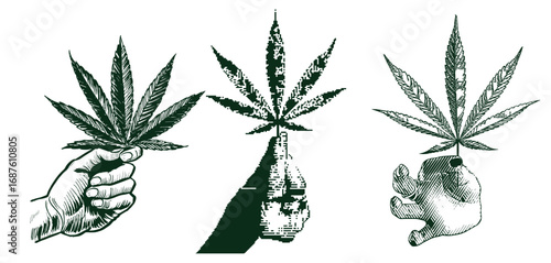 Set of hand drawn cannabis leaves, bong, smoking pipes. Design element for poster, card, banner