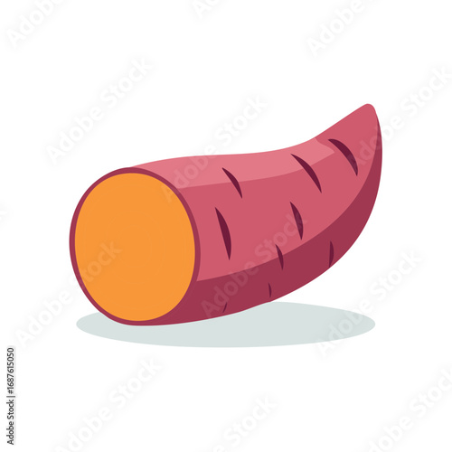 Fresh raw sweet potato illustration with a rich reddish skin and bright orange inside