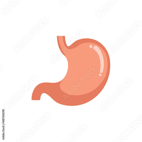 Human stomach organ icon, flat vector illustration for medical and anatomical concepts