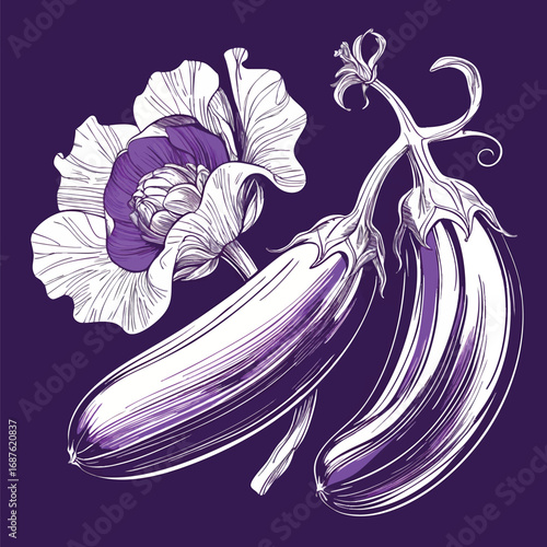 Elegant eggplant botanical sketch with calyx and stem. Deep purple accent color illustration with curved lines isolated on white background.