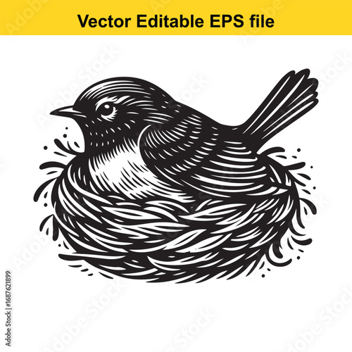  a detailed black and white illustration of a bird sitting in a nest, isolated on white background