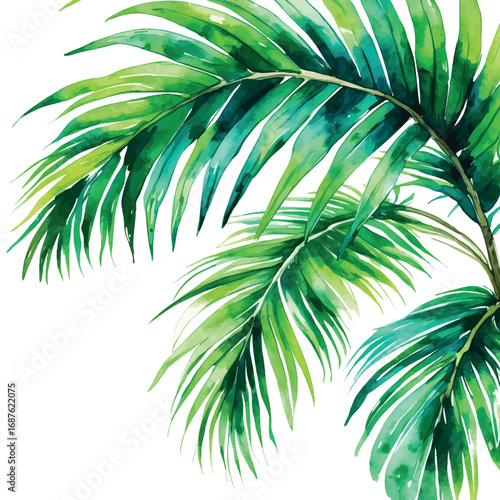Tropical palm leaf watercolor illustration. Detailed botanical vector art with rich green textures handdrawn style isolated on white background.