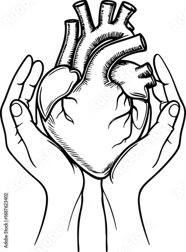 Heart in hands outline vector – empathy and mental care concept illustration