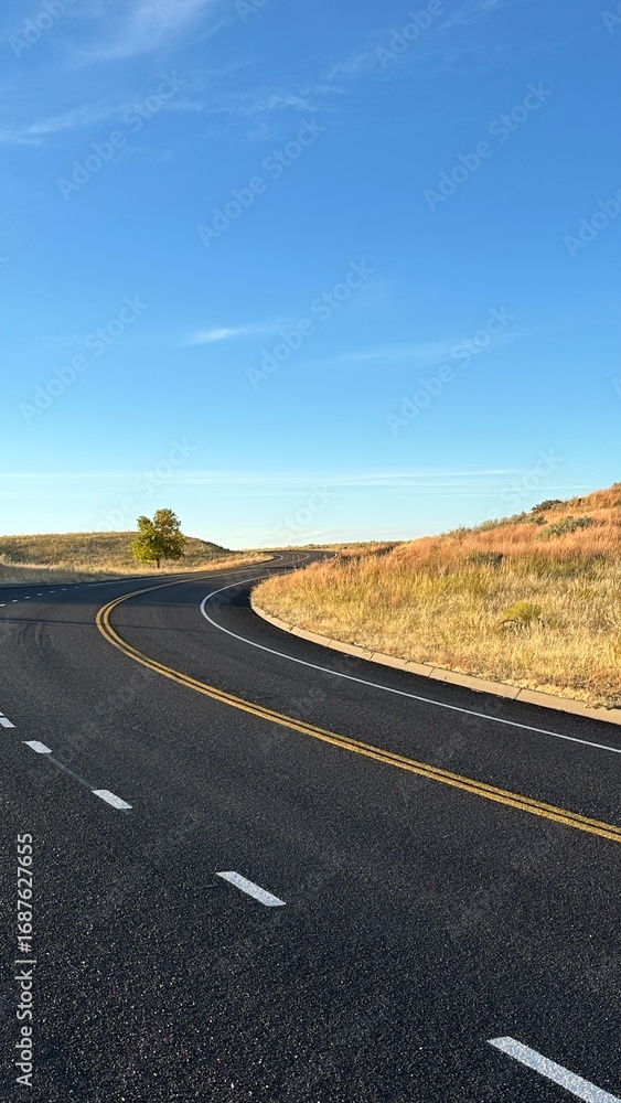 Fototapeta premium taking the road through the desert