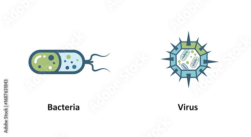 Illustration depicting a stylized bacteria cell with flagella and a virus particle with spikes, labeled on a white background.