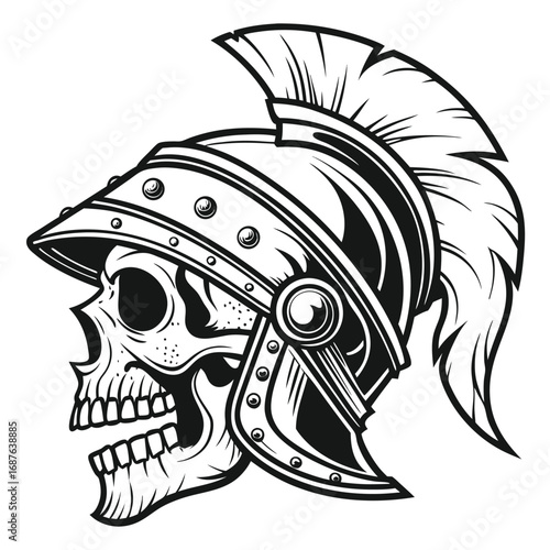 Spartan Warrior Skull Wearing Helmet With Plume vector illustration
