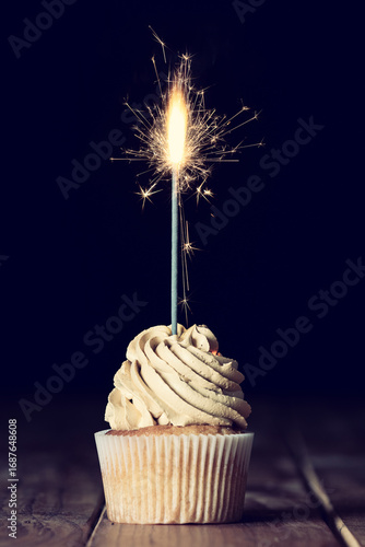 Cupcake with Sparkler Candle Celebration