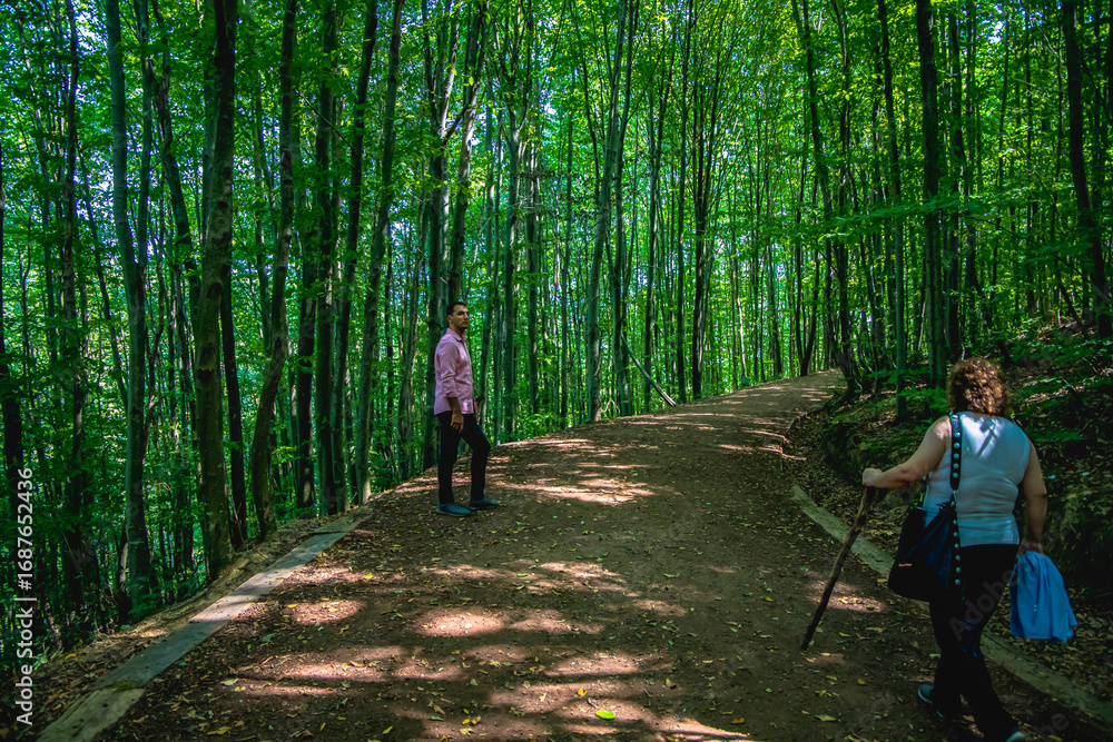 Obraz premium hiking in the forest