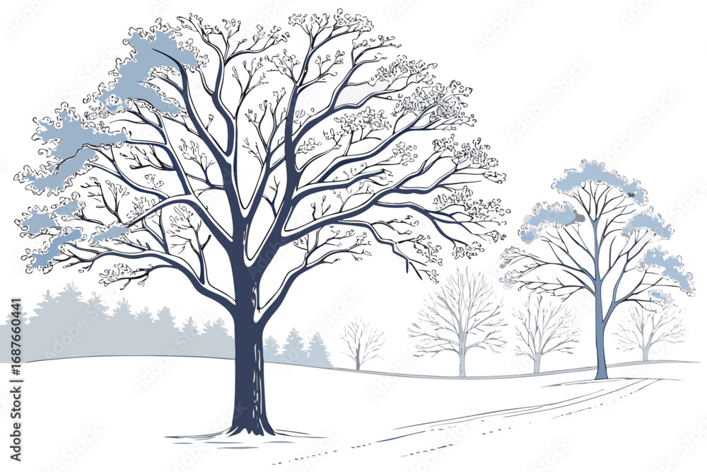 Fototapeta premium tree in winter