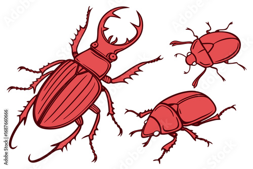 red bug vector