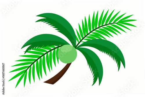 palm tree vector