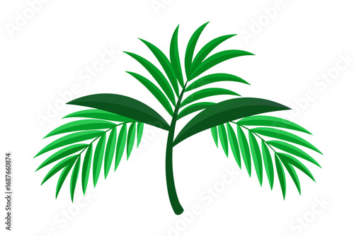 palm tree isolated on white background