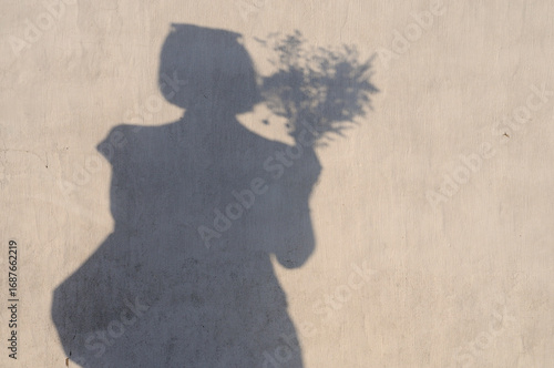 Shadow of a woman holding a bouquet of flowers on the wall. Shadows on the walls.