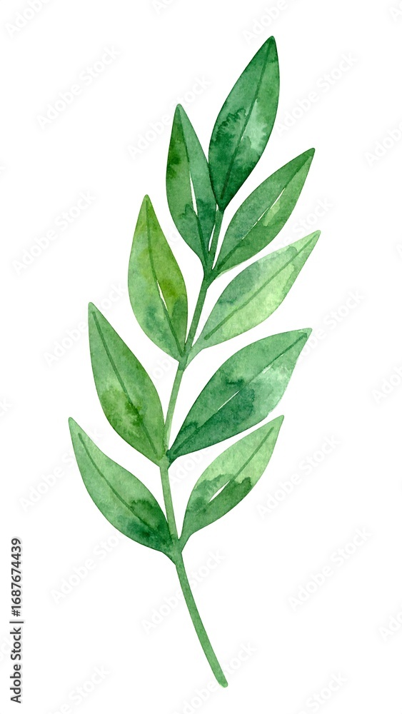 Naklejka premium Watercolor botanical sprig