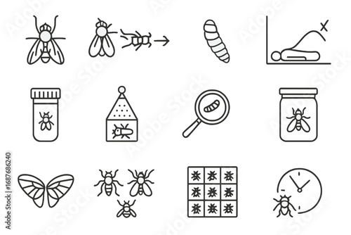 Forensic Entomology Icons. Line style icons of forensic entomology: blowfly icon, insect timeline, maggot life stage, body