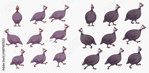 Cartoon guinea fowl walking and standing in various poses on a transparent background, suitable for animation sprites.
