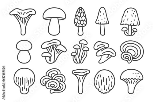 Wild Mushroom Icons. Line style icons of wild mushroom types: chanterelle mushroom, porcini mushroom, morel mushroom, shaggy ink