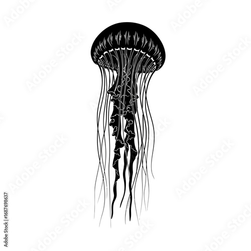 Black jellyfish silhouette isolated on white background