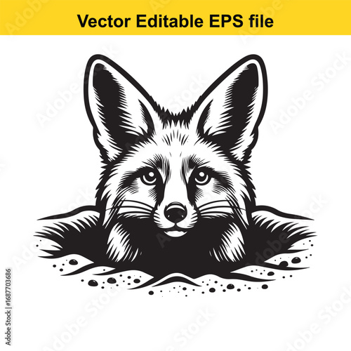  close up head of a fox emerging from the ground, isolated on white background
