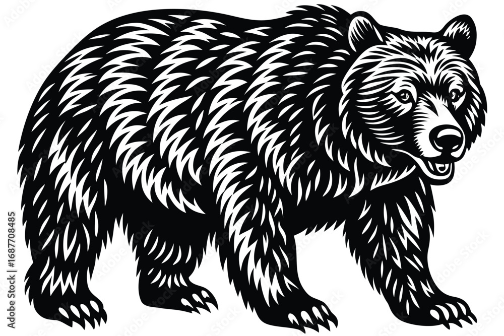 Fototapeta premium grizzly vector