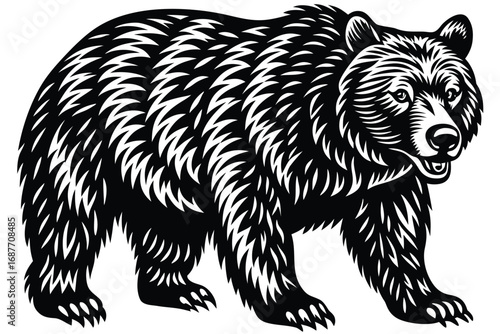 grizzly vector