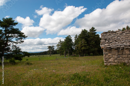 Balade sur le  Causse en Lozère