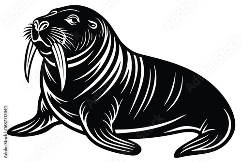 walrus  vector icon