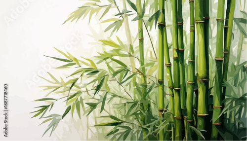 Bamboo stalks vector illustration, minimal clean flat design, white transparent background vector