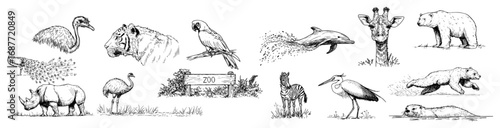 Zoo wildlife animal doodle icon set vector
