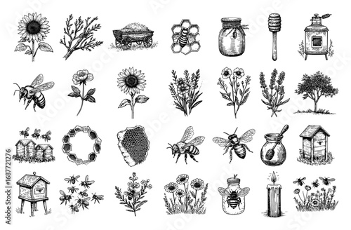 Beekeeping and honey production doodle set with bees hive and flowers