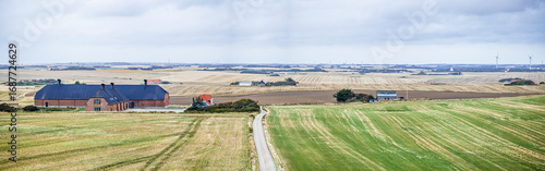 Vast fields unfold in the Bovbjerg area of Denmark, August 2025 scene.