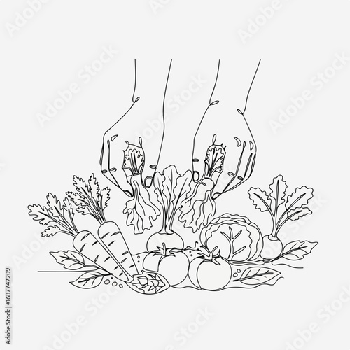 Hands picking vegetables in linear style on white background. Hands picking vegetables includes carrots, cabbage, turnips, tomatoes, and beets drawn in minimal line art.