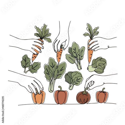 Hands picking vegetables illustration with carrots, pumpkins, and greens shows harvesting process. Hands picking vegetables in garden.