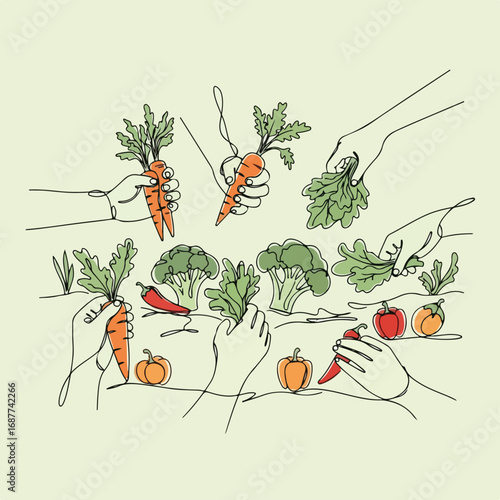 Hands picking vegetables including carrots, broccoli, peppers, and pumpkins, fresh from garden. Hands picking vegetables as a depiction of farm to table food.