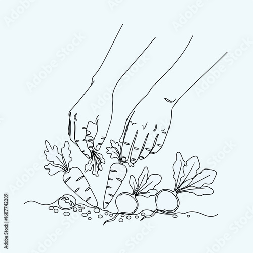 Hands picking vegetables, showcasing manual harvesting in monochrome style. Hands picking vegetables among roots and fresh crop on ground. Idealized hands picking vegetables in farming or agriculture,