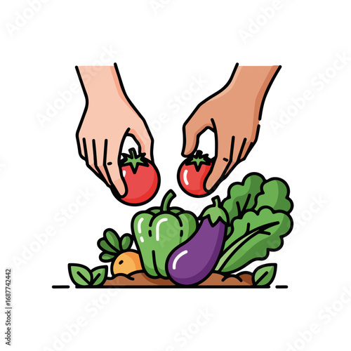 Hands picking vegetables including tomatoes, eggplant, bell pepper and carrot from garden soil. Hands picking vegetables is fresh, clean eating in a garden plot.