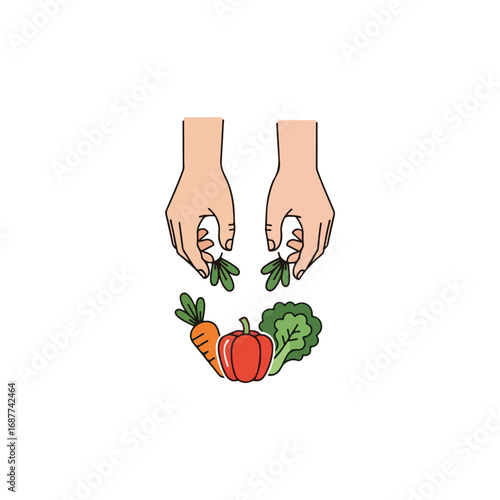 Hands picking vegetables for fresh harvest and healthy eating concept displayed on clean white background. Hands picking vegetables brings vibrant garden produce to culinary creations,