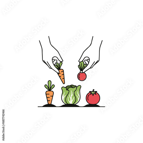 Hands picking vegetables, featuring fresh carrots and radishes from garden soil. Hands selecting vegetables as fresh ingredients, harvested for healthy eating.